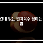비린내 없는 멸치육수 끓이는 비법
