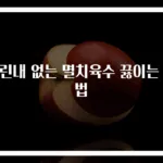 비린내 없는 멸치육수 끓이는 비법