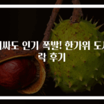 비싸도 인기 폭발! 한가위 도시락 후기