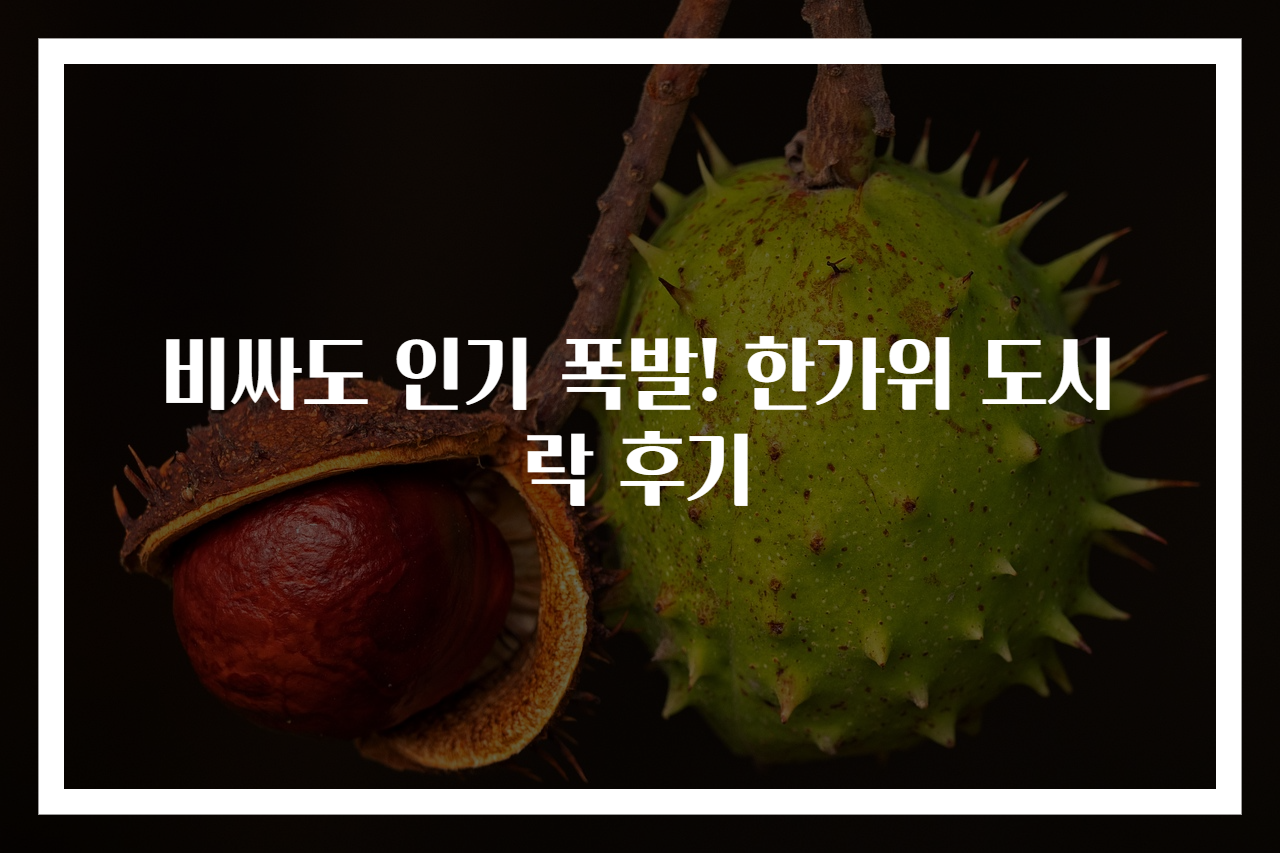 비싸도 인기 폭발! 한가위 도시락 후기