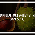 비행기에서 절대 손대면 안 되는 물건 5가지