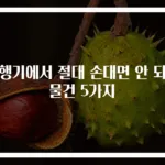비행기에서 절대 손대면 안 되는 물건 5가지
