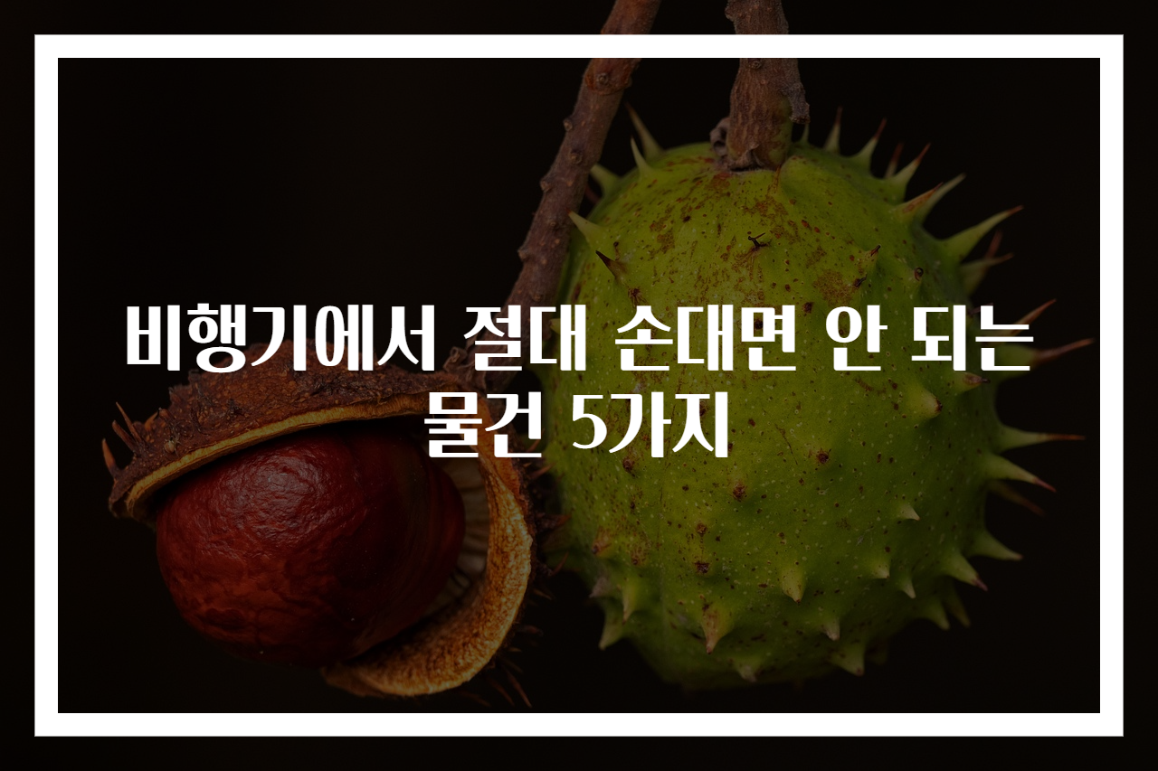 비행기에서 절대 손대면 안 되는 물건 5가지