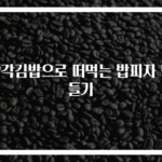 삼각김밥으로 떠먹는 밥피자 만들기