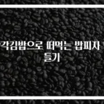 삼각김밥으로 떠먹는 밥피자 만들기