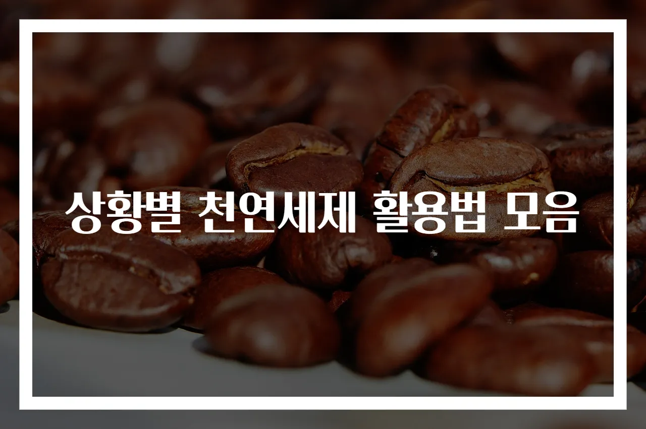 상황별 천연세제 활용법 모음