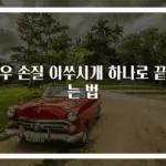 새우 손질 이쑤시개 하나로 끝내는 법