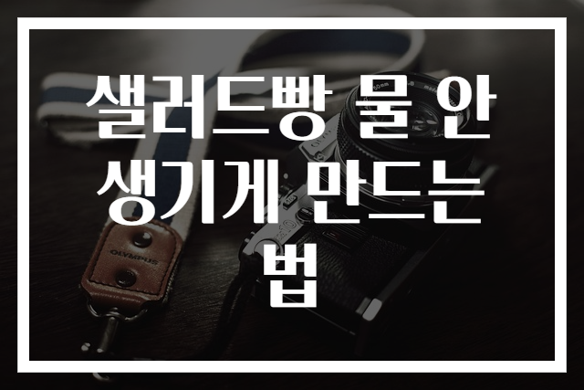 샐러드빵 물 안생기게 만드는 법