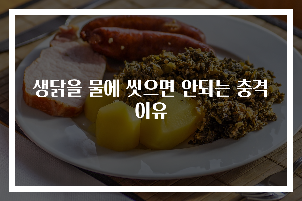 생닭을 물에 씻으면 안되는 충격 이유