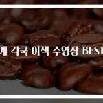 세계 각국 이색 수영장 BEST 7