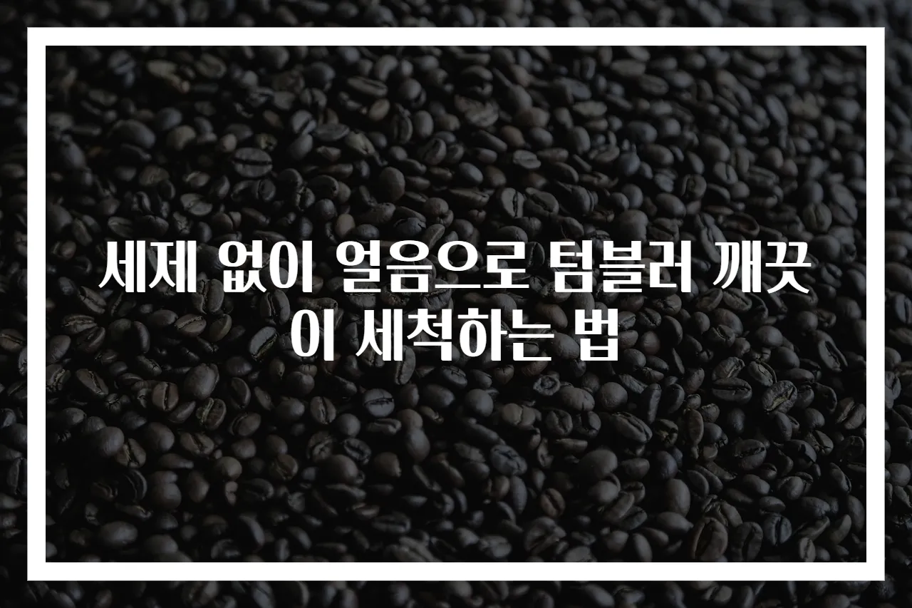 세제 없이 얼음으로 텀블러 깨끗이 세척하는 법