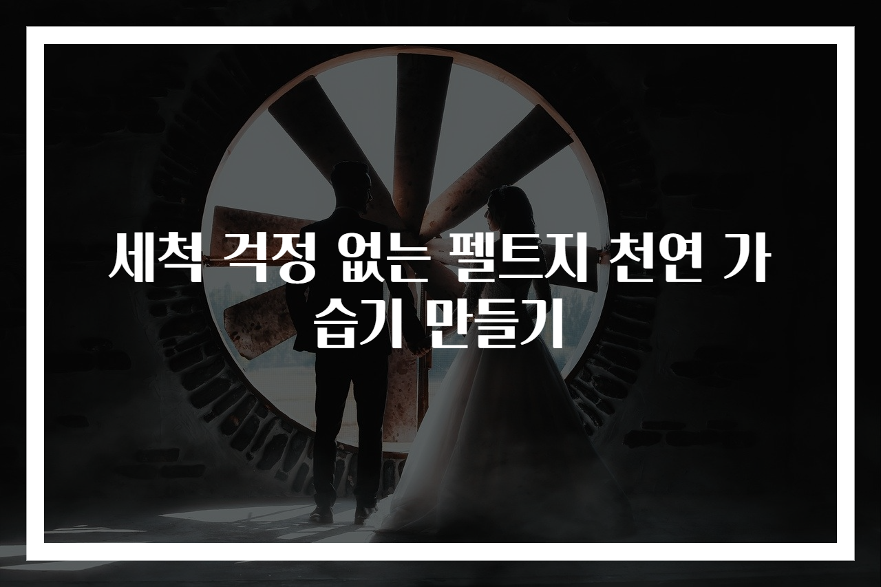 세척 걱정 없는 펠트지 천연 가습기 만들기