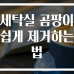 세탁실 곰팡이 쉽게 제거하는 법