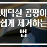 세탁실 곰팡이 쉽게 제거하는 법