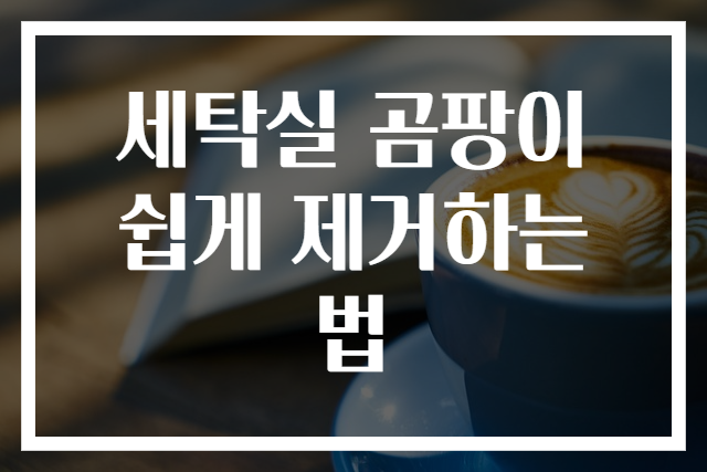 세탁실 곰팡이 쉽게 제거하는 법