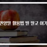 수면양말 활용법 발 말고 여기에