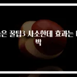 숨은 꿀팁3 사소한데 효과는 대박