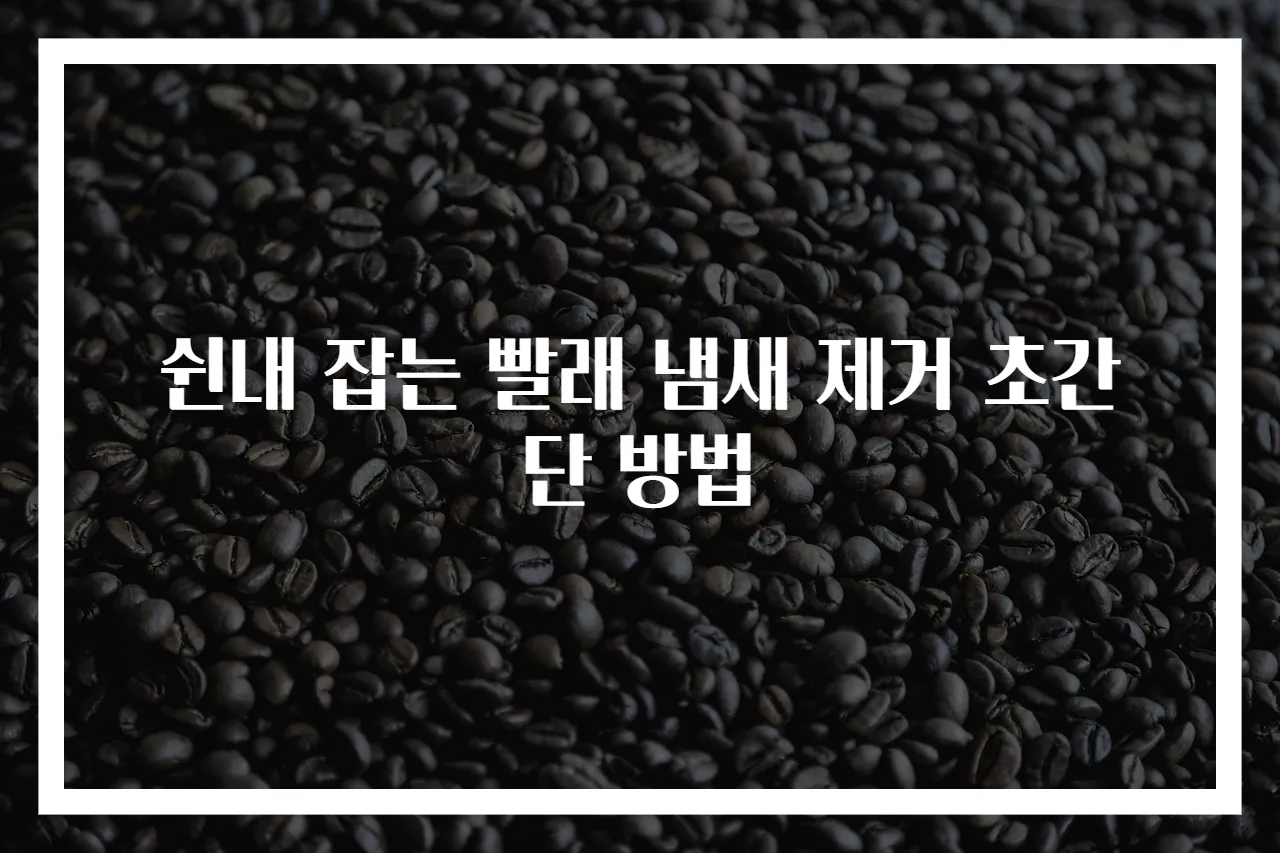 쉰내 잡는 빨래 냄새 제거 초간단 방법