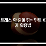 스트레스 확 줄여주는 민트 6가지 활용법