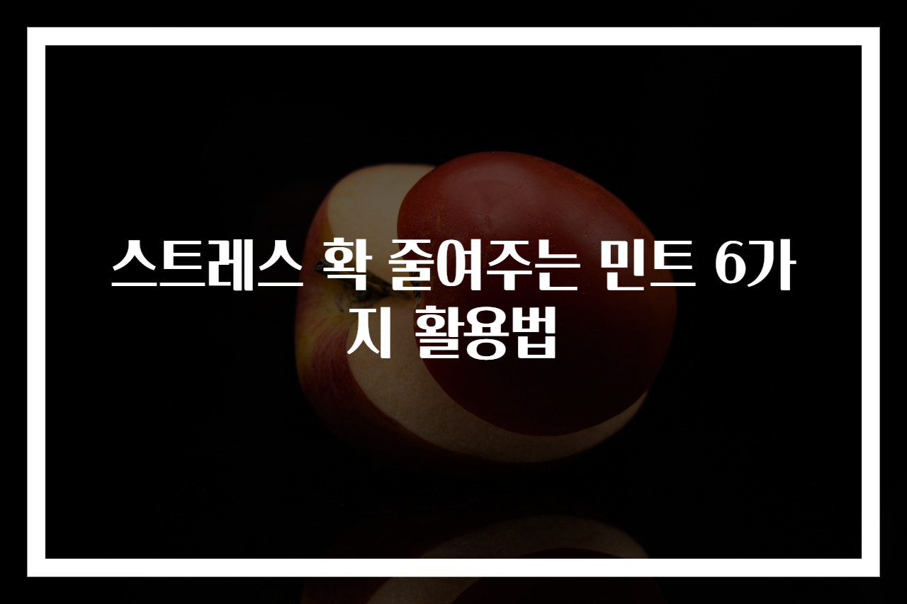 스트레스 확 줄여주는 민트 6가지 활용법