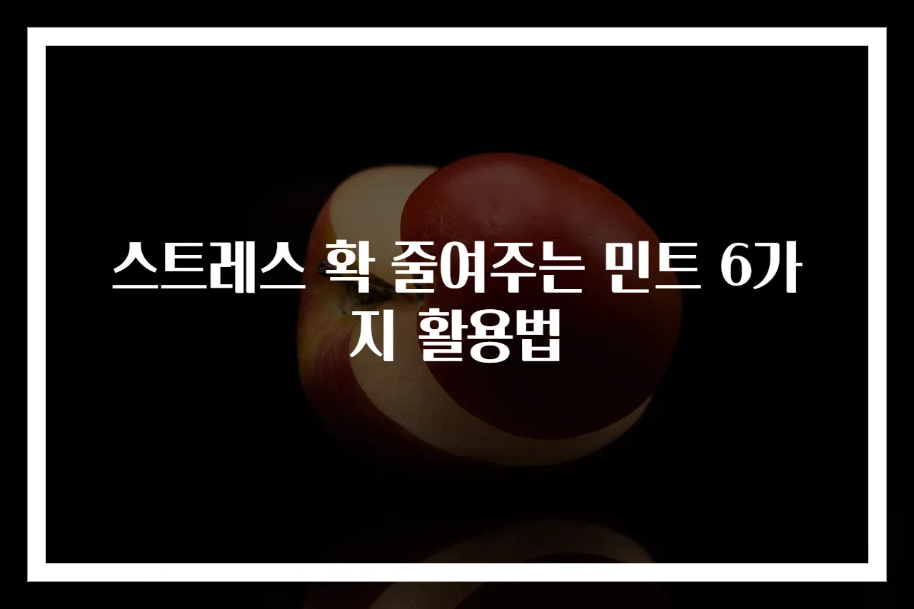 스트레스 확 줄여주는 민트 6가지 활용법