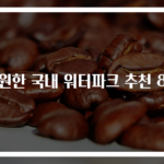 시원한 국내 워터파크 추천 8곳