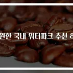 시원한 국내 워터파크 추천 8곳