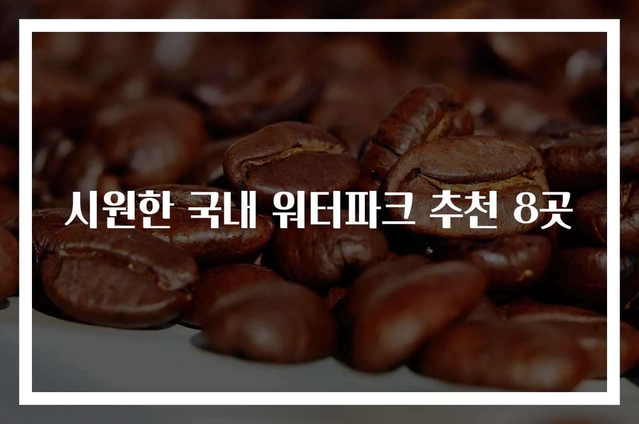 시원한 국내 워터파크 추천 8곳