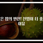식은 밥의 반전! 찬밥이 더 좋은 이유