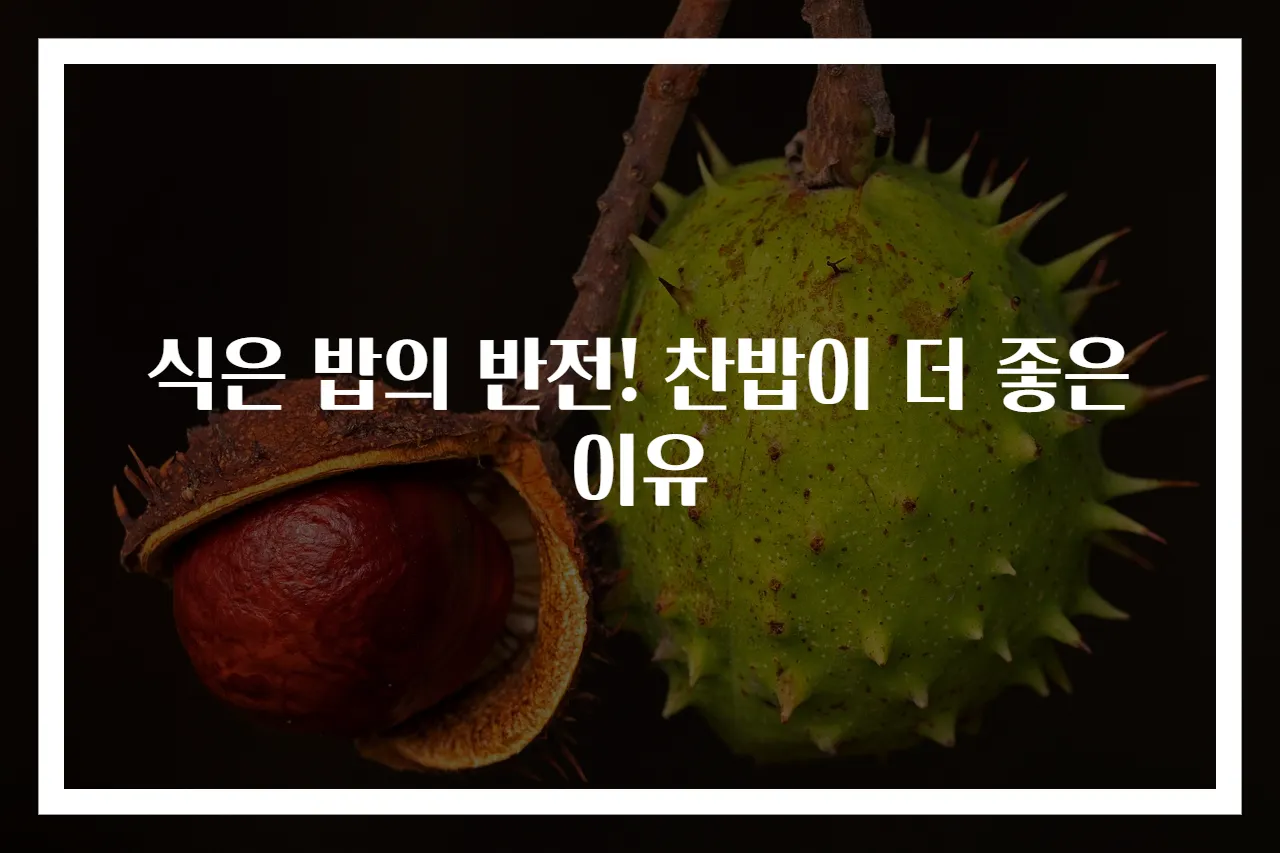 식은 밥의 반전! 찬밥이 더 좋은 이유