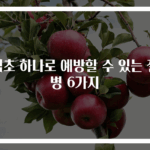 식초 하나로 예방할 수 있는 질병 6가지