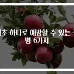 식초 하나로 예방할 수 있는 질병 6가지
