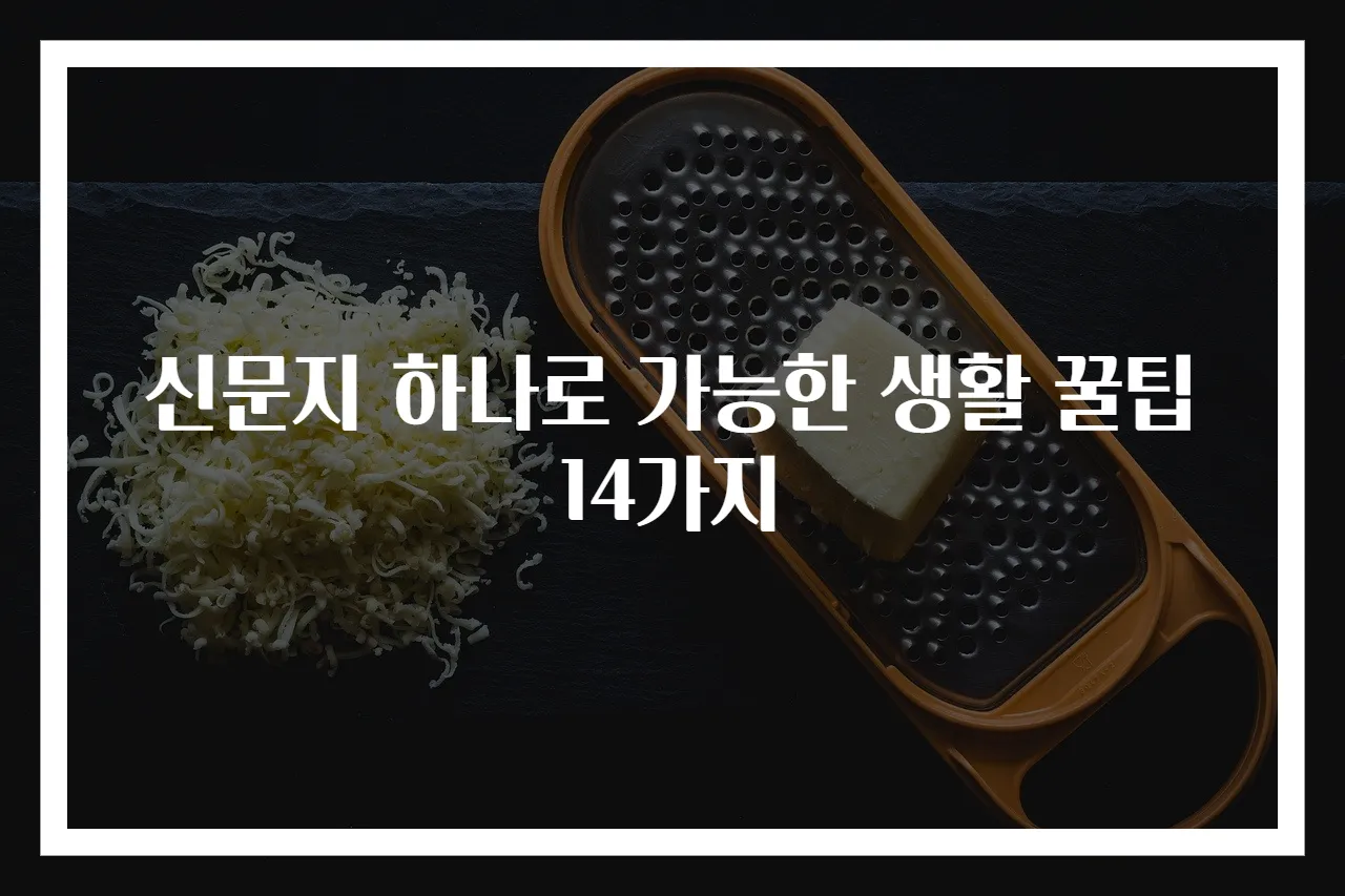 신문지 하나로 가능한 생활 꿀팁 14가지