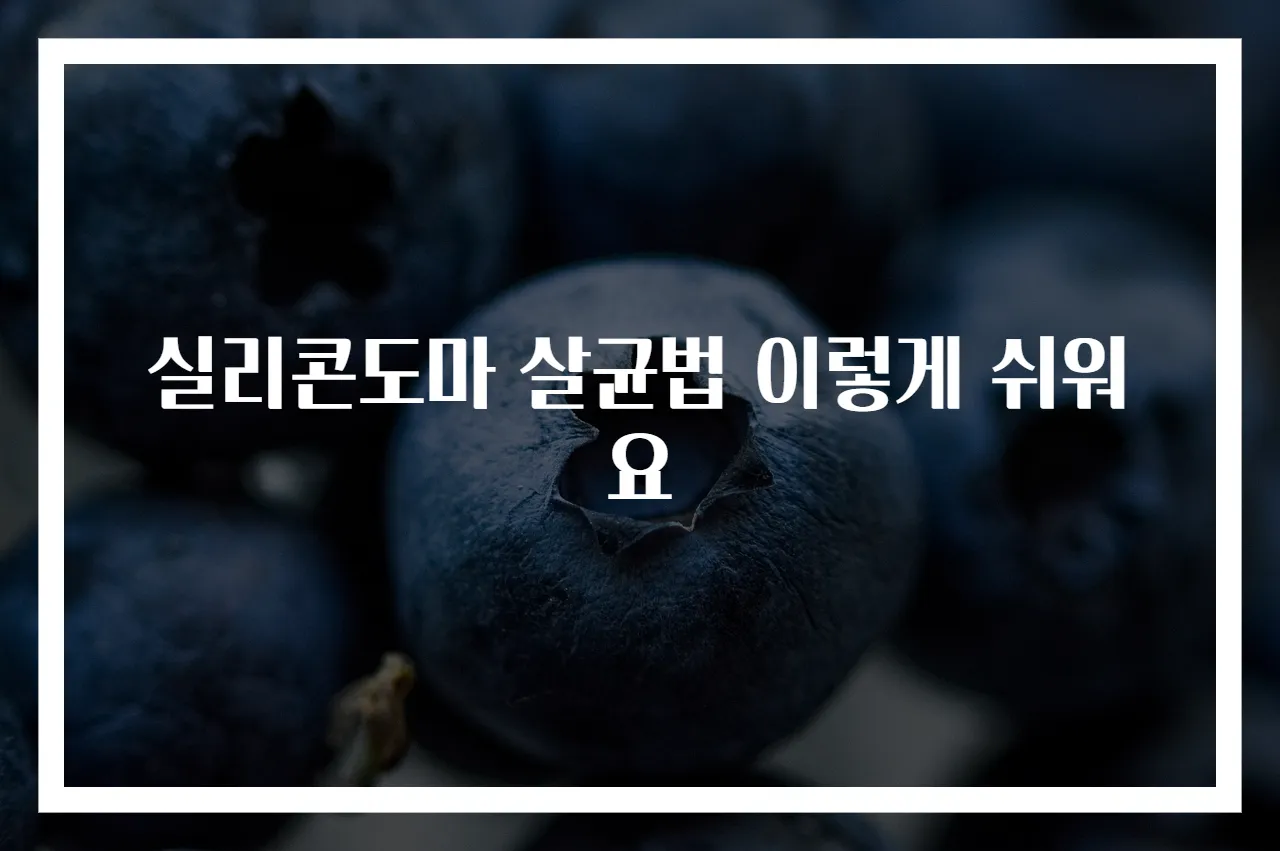 실리콘도마 살균법 이렇게 쉬워요