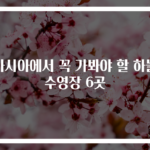 아시아에서 꼭 가봐야 할 하늘 수영장 6곳