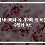아시아에서 꼭 가봐야 할 하늘 수영장 6곳