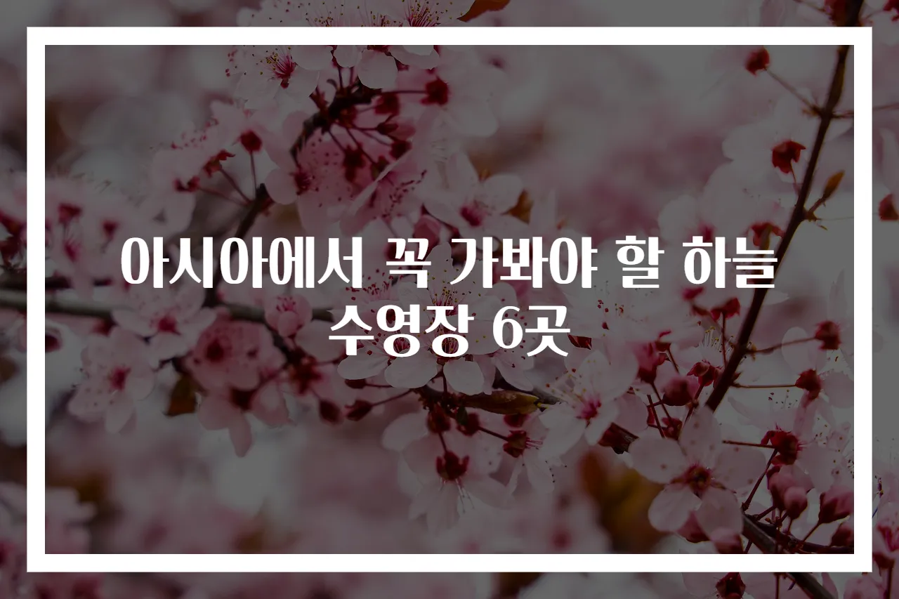 아시아에서 꼭 가봐야 할 하늘 수영장 6곳