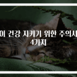아이 건강 지키기 위한 주의사항 4가지