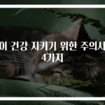 아이 건강 지키기 위한 주의사항 4가지
