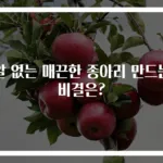 알 없는 매끈한 종아리 만드는 비결은?