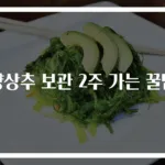 양상추 보관 2주 가는 꿀팁