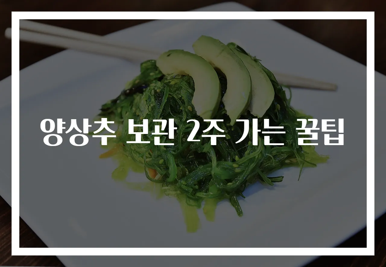 양상추 보관 2주 가는 꿀팁