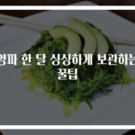 양파 한 달 싱싱하게 보관하는 꿀팁