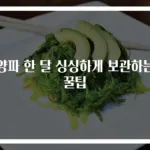양파 한 달 싱싱하게 보관하는 꿀팁