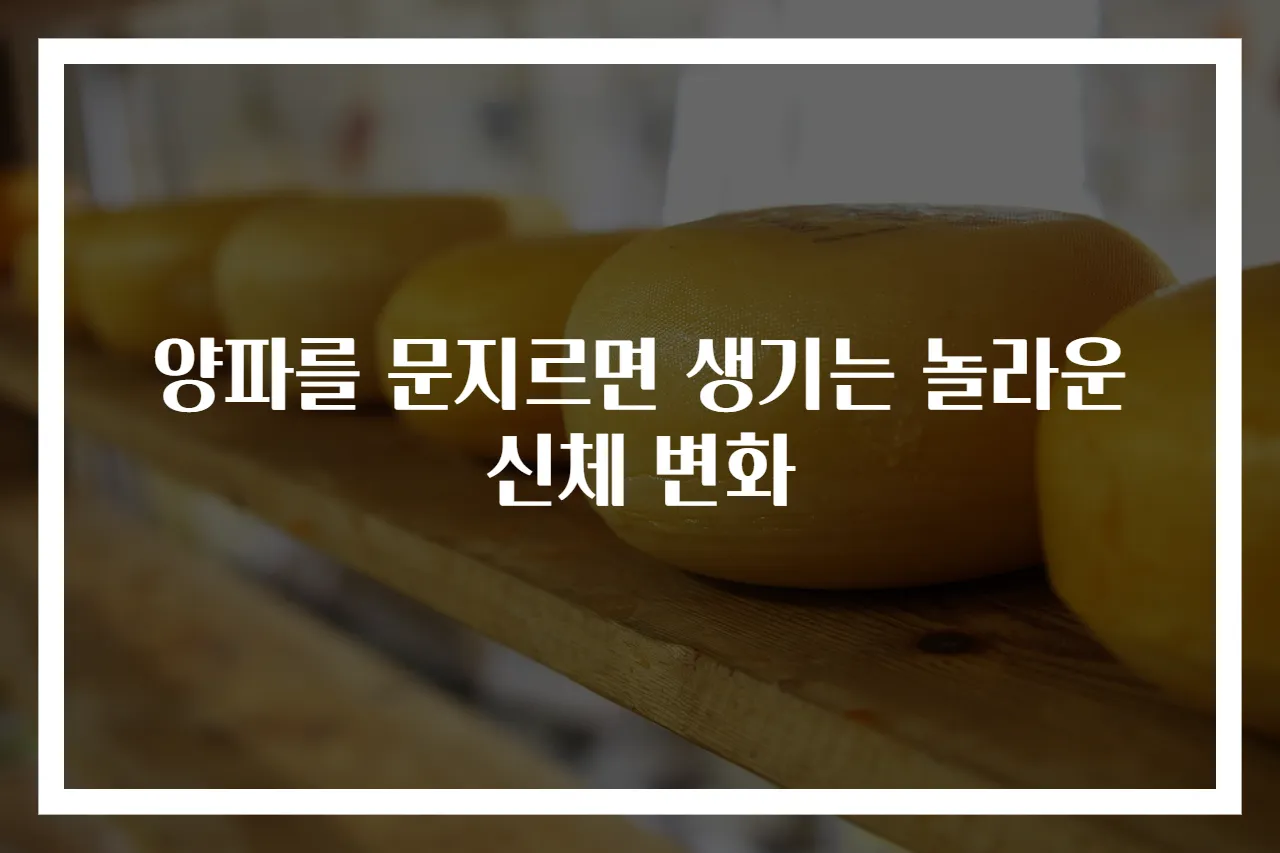 양파를 문지르면 생기는 놀라운 신체 변화