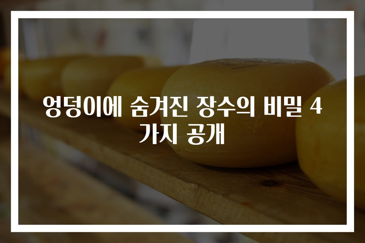 엉덩이에 숨겨진 장수의 비밀 4가지 공개