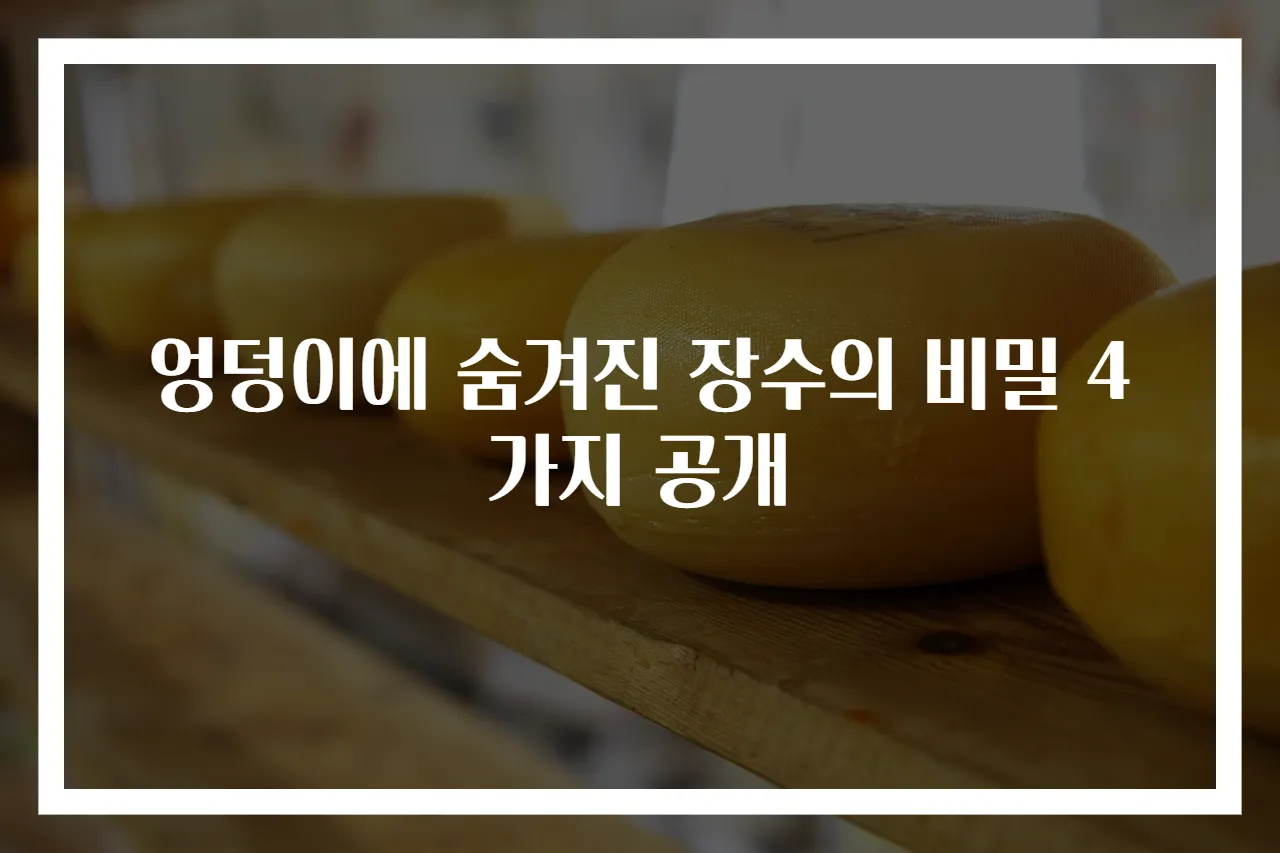 엉덩이에 숨겨진 장수의 비밀 4가지 공개