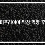 에어프라이어 막창 먹방 후기