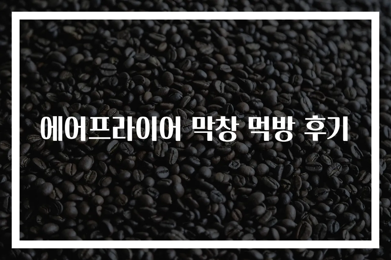 에어프라이어 막창 먹방 후기