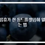 여름휴가 전 등드름 말끔히 없애는 법